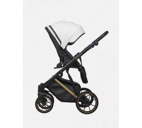 Коляска 2 в 1 Riko Basic Montana Premium Gold, 01 - White 