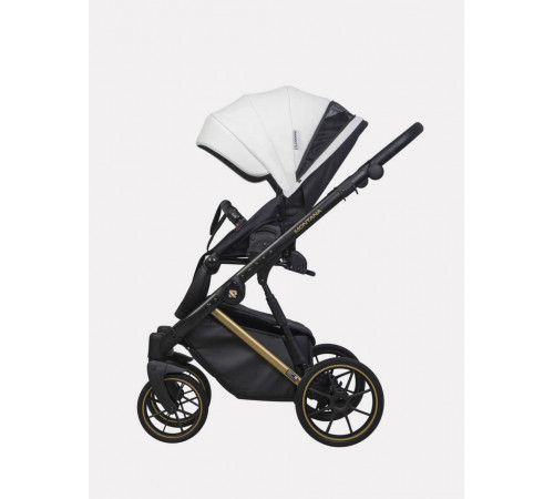 Коляска 2 в 1 Riko Basic Montana Premium Gold, 01 - White 