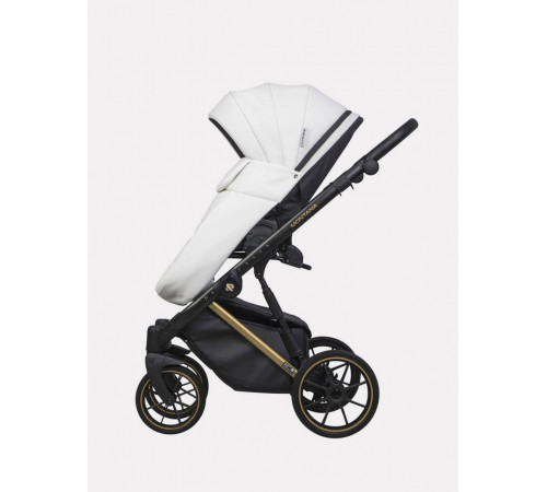 Коляска 2 в 1 Riko Basic Montana Premium Gold, 01 - White 