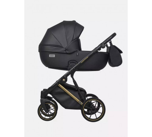 Коляска 2 в 1 Riko Basic Montana Premium Gold, 02 - Black