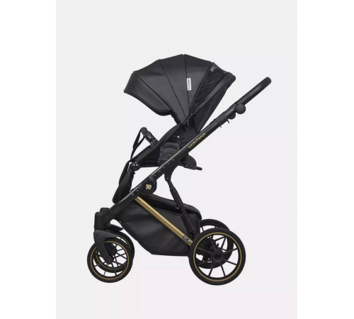 Коляска 2 в 1 Riko Basic Montana Premium Gold, 02 - Black