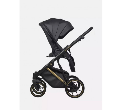 Коляска 2 в 1 Riko Basic Montana Premium Gold, 02 - Black