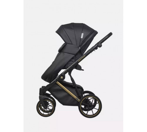 Коляска 2 в 1 Riko Basic Montana Premium Gold, 02 - Black