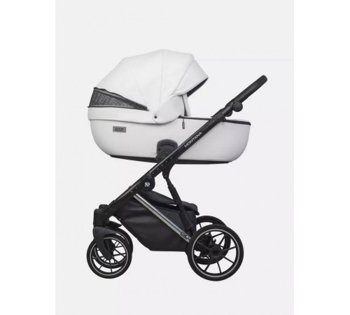 Коляска 2 в 1 Riko Basic Montana Premium Silver, 21 - White 