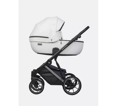 Коляска 2 в 1 Riko Basic Montana Premium Silver, 21 - White 