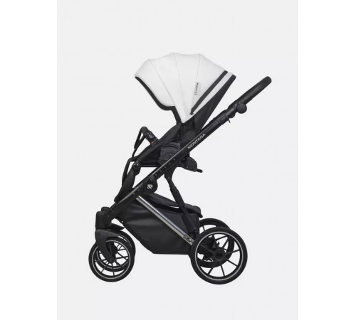 Коляска 2 в 1 Riko Basic Montana Premium Silver, 21 - White 