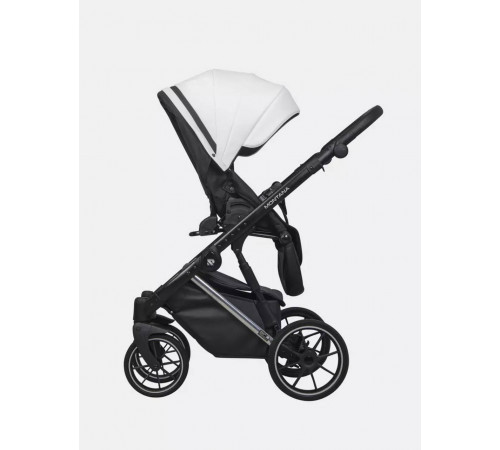 Коляска 2 в 1 Riko Basic Montana Premium Silver, 21 - White 