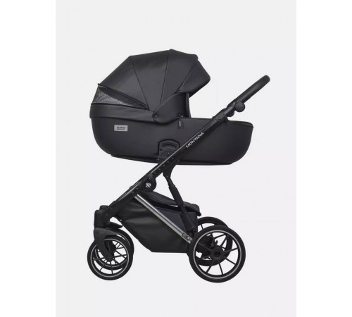 Коляска 2 в 1 Riko Basic Montana Premium Silver, 22 - Black