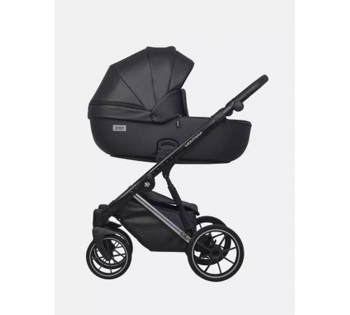 Коляска 2 в 1 Riko Basic Montana Premium Silver, 22 - Black