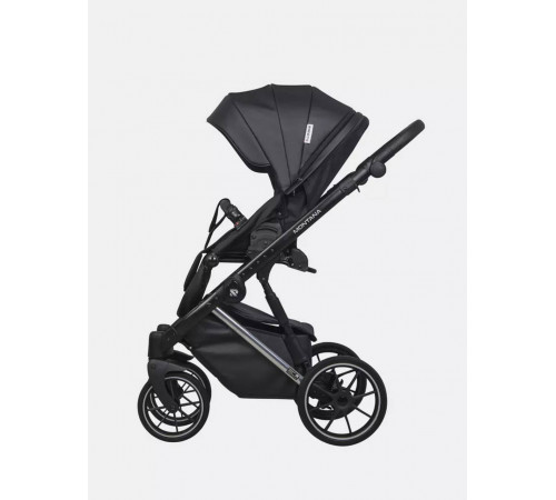 Коляска 2 в 1 Riko Basic Montana Premium Silver, 22 - Black