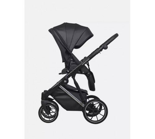 Коляска 2 в 1 Riko Basic Montana Premium Silver, 22 - Black