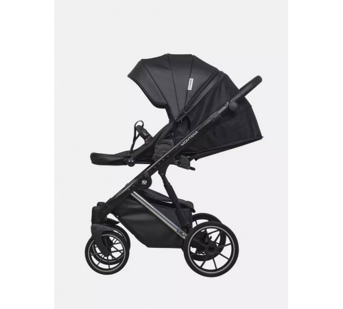 Коляска 2 в 1 Riko Basic Montana Premium Silver, 22 - Black