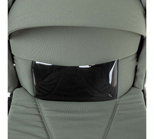 Коляска 2 в 1 Roan Bass Next 2.0, Sage Green