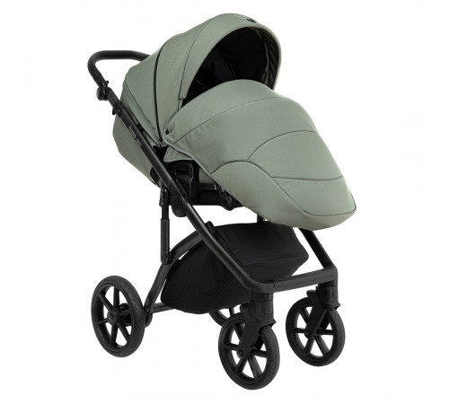 Коляска 2 в 1 Roan Bass Next 2.0, Sage Green
