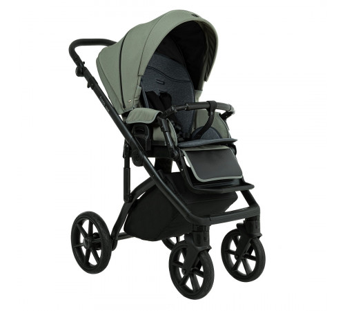Коляска 2 в 1 Roan Bass Next 2.0, Sage Green