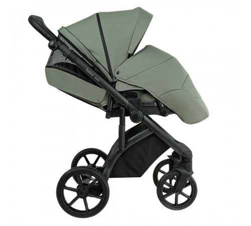 Коляска 2 в 1 Roan Bass Next 2.0, Sage Green