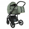Коляска 2 в 1 Roan Bass Next 2.0, Sage Green Коляска 2 в 1 Roan Bass Next 2.0, Sage Green