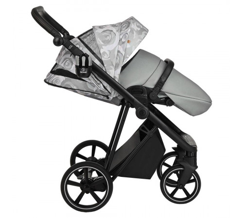 Коляска 2 в 1 Roan Sol Flowers, Gray шасси Black