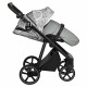 Коляска 2 в 1 Roan Sol Flowers, Gray шасси Black