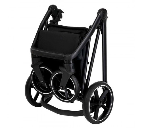 Коляска 2 в 1 Roan Sol Flowers, Gray шасси Black