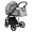 Коляска 2 в 1 Roan Sol Flowers, Gray шасси Black