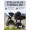 Коляска 2 в 1 Sweet Baby Stella Plus Therma, Black Коляска 2 в 1 Sweet Baby Stella Plus Therma, Black