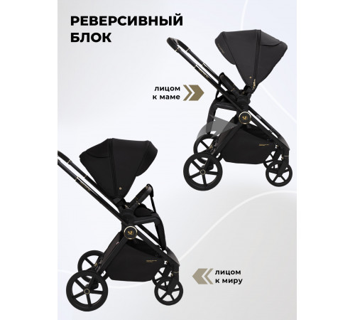 Коляска 2 в 1 Sweet Baby Stella Plus Therma Black