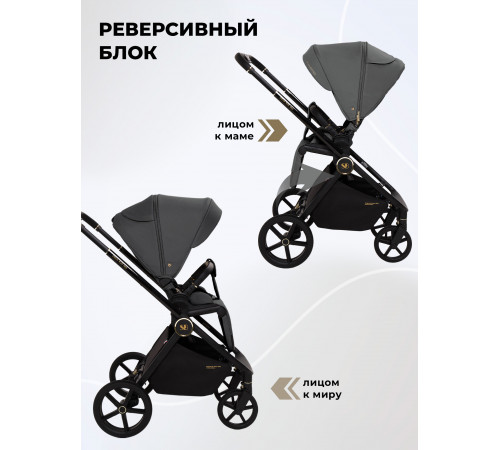 Коляска 2 в 1 Sweet Baby Stella Plus Therma Dark Grey 
