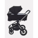 Коляска 2 в 1 Rant Flex Pro 2023, Black