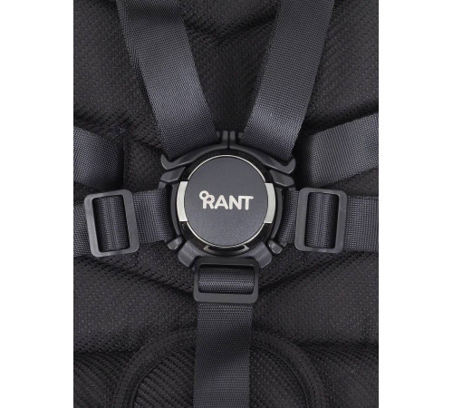 Коляска 2 в 1 Rant Flex Pro 2023, Black