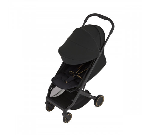 Коляска прогулочная Anex Air-X2, Nero
