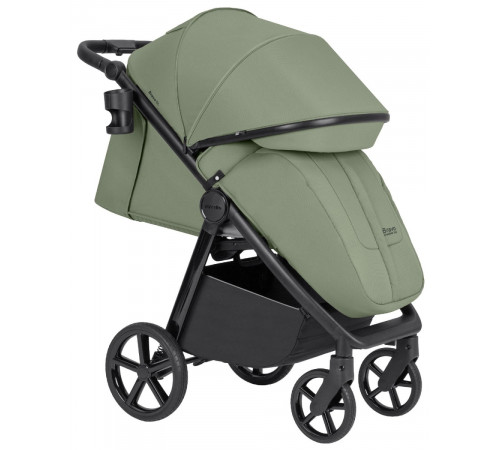 Коляска прогулочная Carrello Bravo SL CRL-5520, Fruit Green
