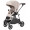 Коляска прогулочная Carrello Costa CRL-5534, Vanilla Beige Коляска прогулочная Carrello Costa CRL-5534, Vanilla Beige