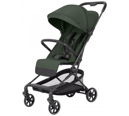 Коляска прогулочная Carrello Evo CRL- 5533, Chateau Green