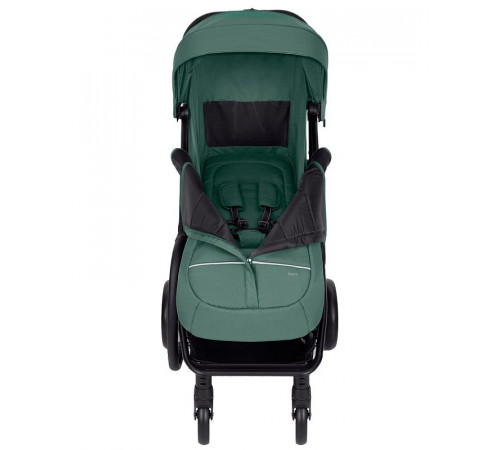 Коляска прогулочная Carrello Nero CRL-5514, Pear Green