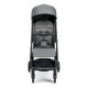 Коляска прогулочная Inglesina Now, Snap Grey