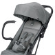 Коляска прогулочная Inglesina Now, Snap Grey