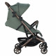 Коляска прогулочная Pituso Q5 Dark olive (Темно-оливковый)