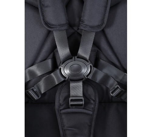 Коляска прогулочная Rant Flex Color Midnight Black