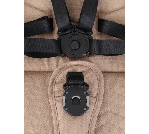 Коляска прогулочная Rant Flex Pro, Beige