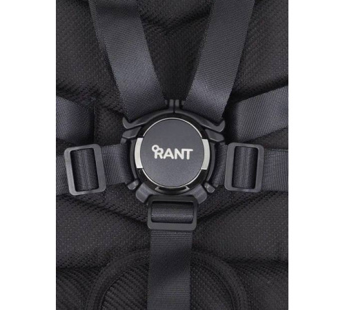 Коляска прогулочная Rant Flex Pro, Black