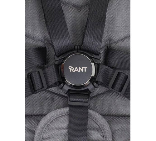 Коляска прогулочная Rant Flex Pro, Grey