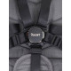 Коляска прогулочная Rant Flex Pro, Grey
