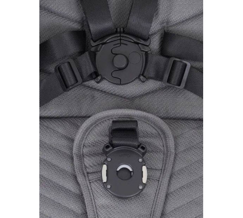 Коляска прогулочная Rant Flex Pro, Grey