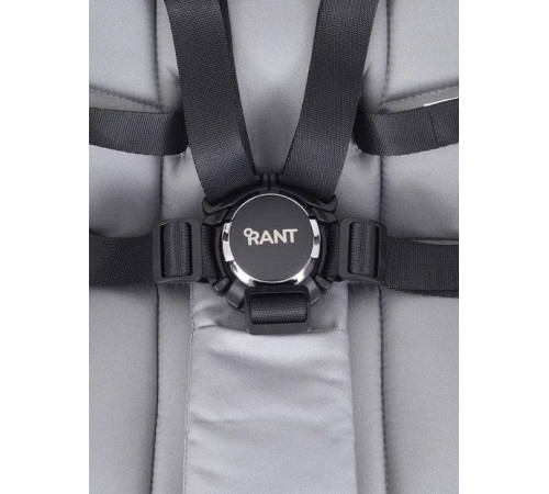Коляска прогулочная Rant Golf, Classic Grey