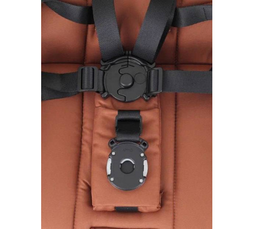 Коляска прогулочная Rant Golf, Maroon Brown