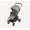 Прогулочная коляска Anex Ride, Chrome Прогулочная коляска Anex Ride, Chrome
