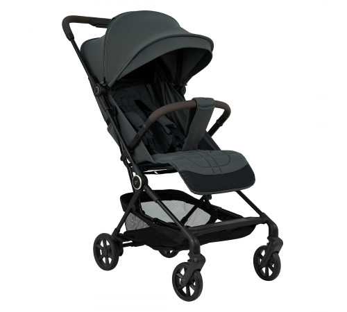 Коляска прогулочная Pituso Q3 Oliva Grigio