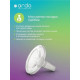 Электрический молокоотсос ARDO Calypso Double Plus (премиум комплектация)