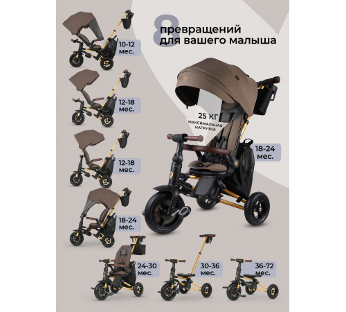 Трехколесный детский велосипед Qplay S702 Sprinter S Max Brown (Lux/Gold) (Коричневый)